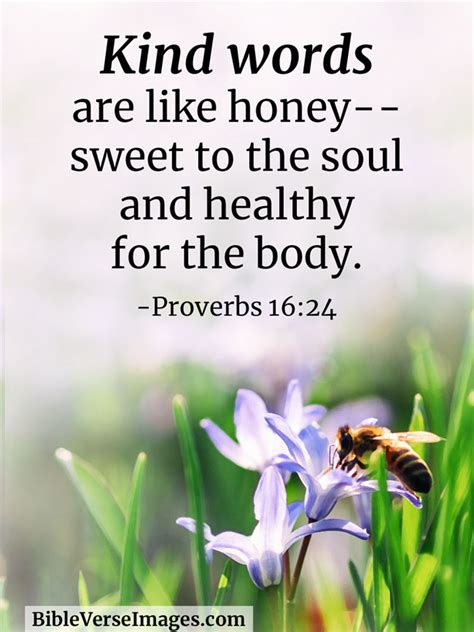 Searching for a famous kindness quote? Proverbs 16:24 - Bible Verse about Kindness - Bible Verse ...