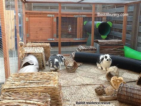 Rabbit Accommodation Housing Ideas For Bunny Rabbits Best 4 Bunny