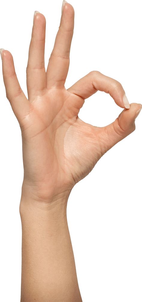 Hands Png High Quality Image Png Arts