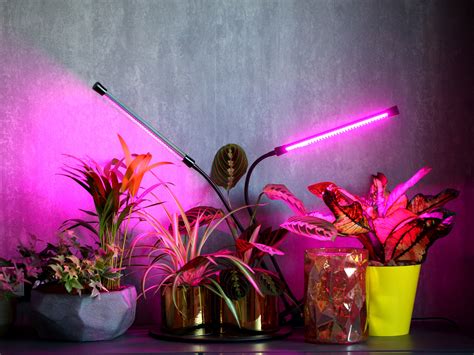 Our Favorite Gadgets For Plant Parents Wired
