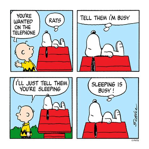 Sleeping Is Busy Charlie Brown Et Snoopy Charlie Brown Quotes Snoopy Love Snoopy And
