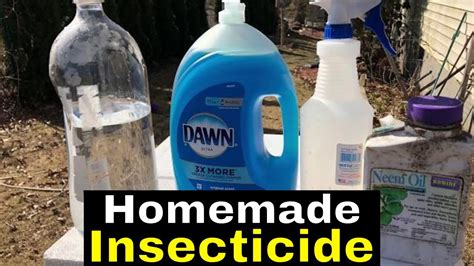 Homemade Insecticide Youtube