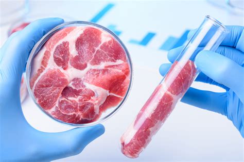 Lab Grown Meat Gets Closer To Store Shelves Modern Farmer