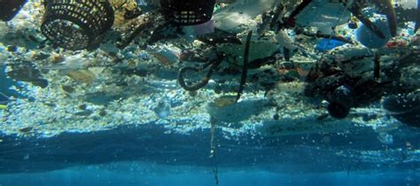 A Sea Of Rubbish The Great Pacific Garbage Patch Trade Skips