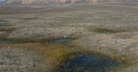 Scientists Amazed As Canadian Permafrost Thaws 70 Years Early