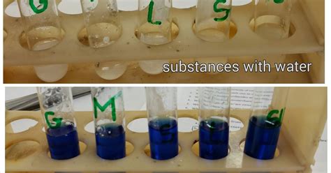 Science Lab L5 Fehlings Test Reducing Sugars