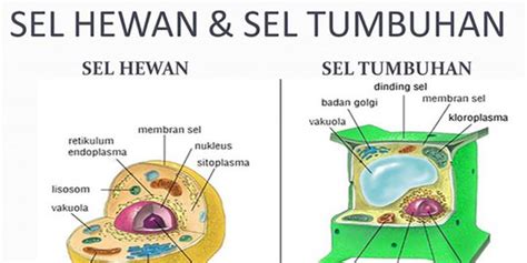 Komunikasi merupakan suatu kegiatan yang pasti terjadi dalam kehidupan keluarga. . Jelaskan Apakah Yang Membedakan Antara Kehidupan Kelompok Dan Kehidupan Komunitas? - Perbedaan ...