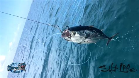 Fishing For Big Deep Sea Fish Incredible Saltwater Fishing Catches