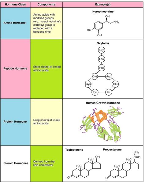 Chemical Classification Of Hormones Biology Pcsstudies