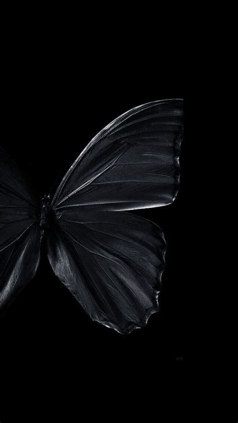 94 Wallpaper Black Butterfly Images Myweb