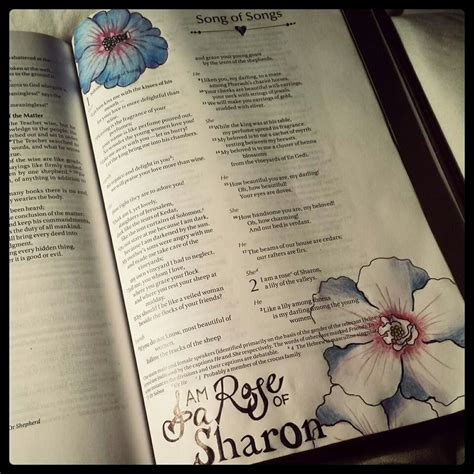 I Am A Rose Of Sharon Bible Art Journaling Bible Verse Art Bible