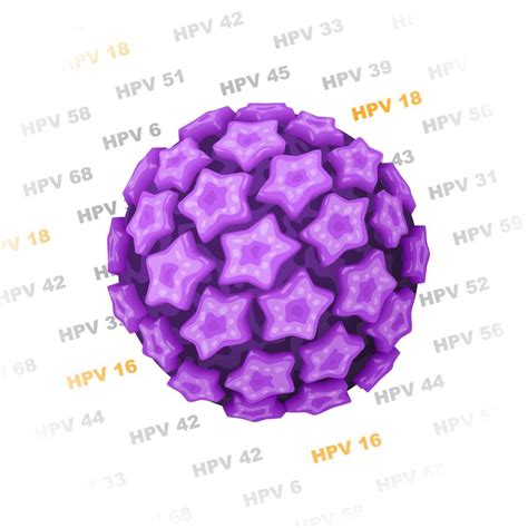Detecci N Molecular Y Genotipo Virus Papiloma Humano Centro Fiv
