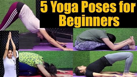 5 yoga poses for beginners इन 5 योगासनों से करें योग की शुरुआत jeevan kosh youtube