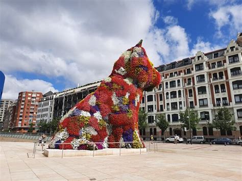 Puppy Bilbao Spanien Omdömen Tripadvisor