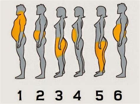 The 6 Types Of Body Fat And The Easiest Ways To Shed The Pounds