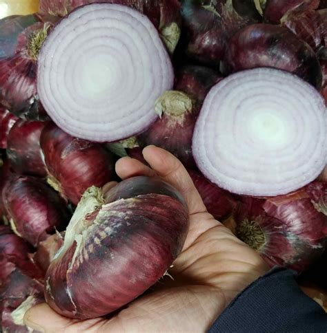 Italian Sweet Red Onions Dan The Produce Man
