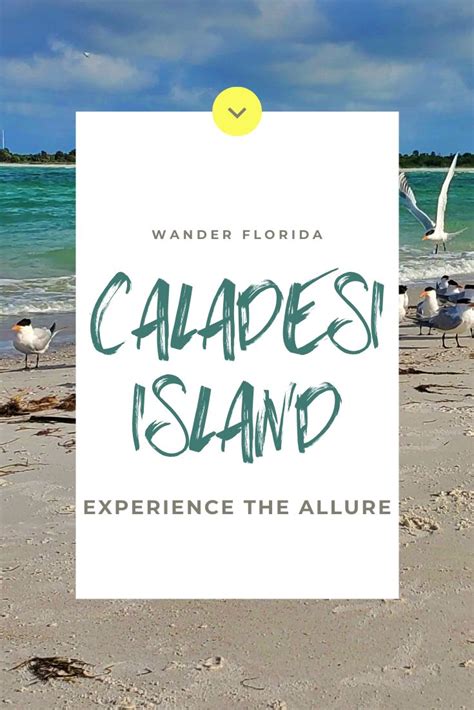 Why You Want To Visit Caladesi Island In 2023 Wander Florida