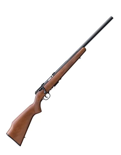 Top Rated 17 Hmr Rifles Whitetailfirst