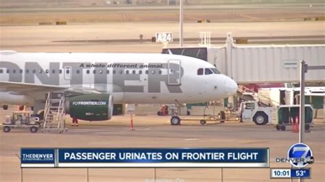 frontier passenger reportedly assaults woman then urinates on seat
