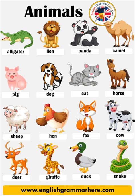 Animals Names Animals And Their Young Ones English Grammar Here