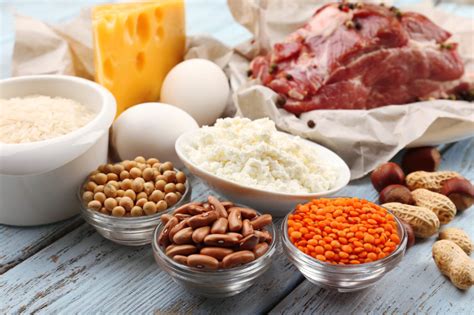 High Protein Diet - What Protein Foods You Should Eat to Lose Weight ...