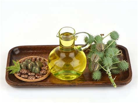 Mustard oil is considered as one of the best among these oils for your hair. DIY: Mustard Oil Treatments For Dry Hair - Boldsky.com