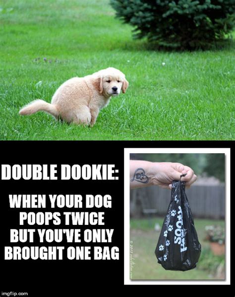 Dog Poop Memes And S Imgflip
