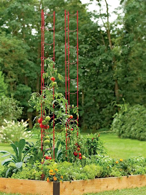 Stacking Tomato Ladders Set Of 6 Tomato Trellis Tomato Ladder Plants