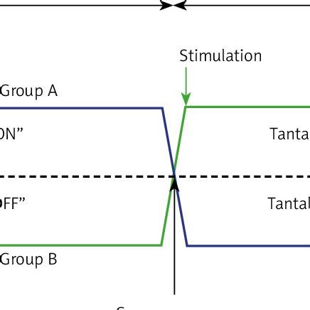 Bartlomiej morawski possesses a great talent for creativity and self expression, typical of many accomplished writers, poets, actors and musicians. WIESŁAW TARNOWSKI | MD, PhD, Full Professor | Centrum ...