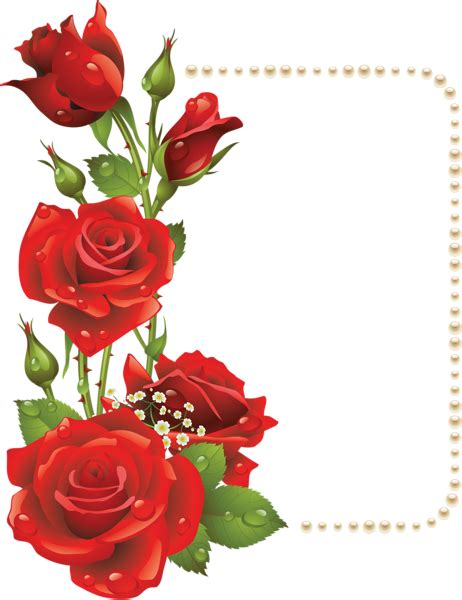 Download and use 9,000+ roses stock photos for free. Large Transparent Frame with Red Roses and Pearls | Rose ...