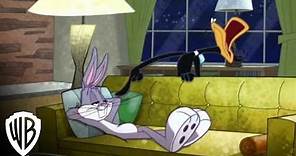 The Looney Tunes Show | Season 1, Volume 3: Official Trailer | Warner Bros. Entertainment