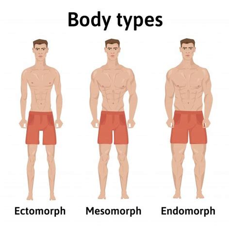 The Best Diet And Guide For Mesomorph Body Type Justpasteit