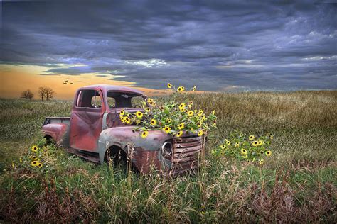 Abandoned Vintage Ford Truck With Blackeyed Susan Yellow Flowers