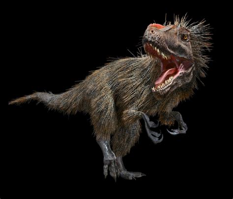 Heres What Feathered Dinosaurs Looked Like Core77