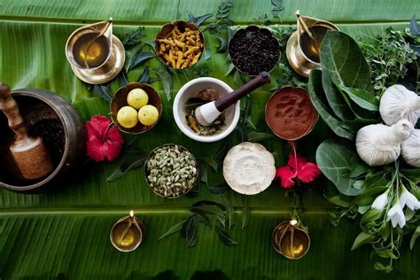 Amazing Ayurvedic Herbs And Their Astounding Effects Blog 9 Indus