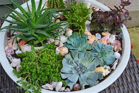 How To Plant Succulents In A Container Garden Youtube