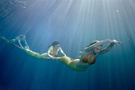 Your works must contain at least one of any characters from the h2o just add water, mako mermaids, or the animated h2o mermaid adventures series. Image - Mermaid Train.jpg - H2O Just Add Water Wiki