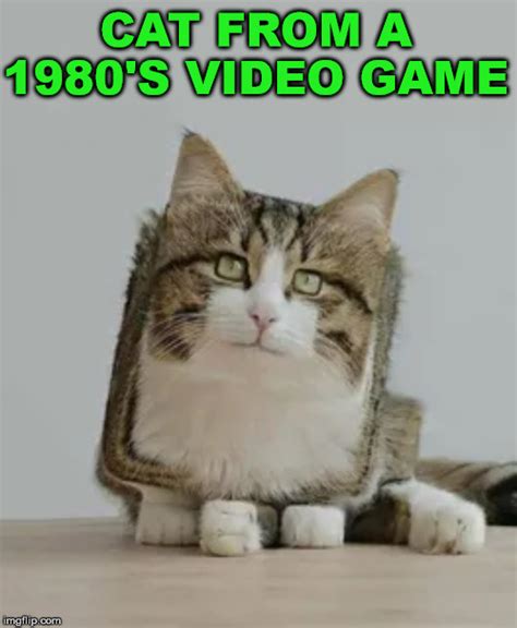 Gaming Cats Memes And S Imgflip