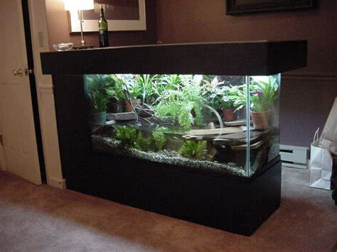 The water quality in your turtle aquarium has to be high, regular water changes will help with this but you will need to add some form of filtration. Pin by Ben Atherton on Vivarium and tanks | Turtle ...