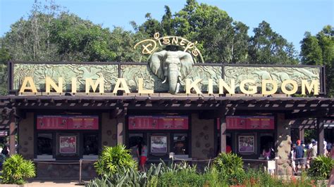 Disneys Animal Kingdom Walt Disney World Florida Youtube