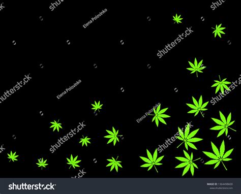 Cannabis Black Background Green Leaves Stock Vector Royalty Free