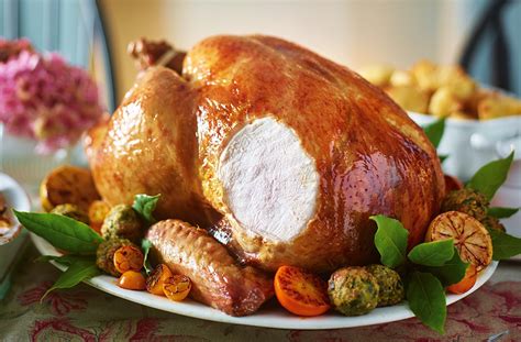 The Complete Foolproof Guide To Roasting A Holiday Turkey Recipe My