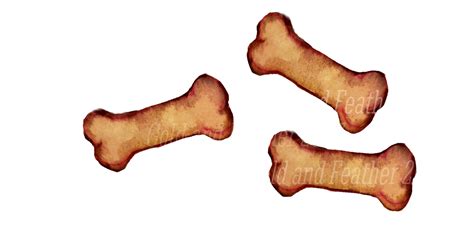 Dog Bone Images Clipart Free Download On Clipartmag