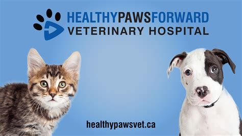 Healthy Paws Forward Veterinary Hospital 660 News