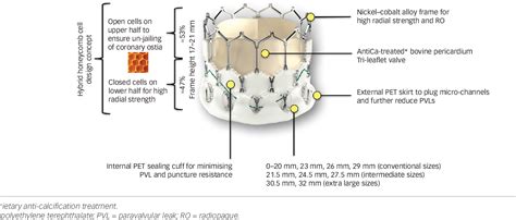 Figure 1 From The Myval Transcatheter Heart Valve System For The