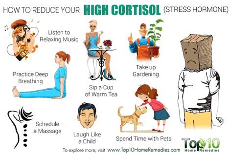 Maybe you would like to learn more about one of these? How to Reduce Your High Cortisol (Stress Hormone) Level ...