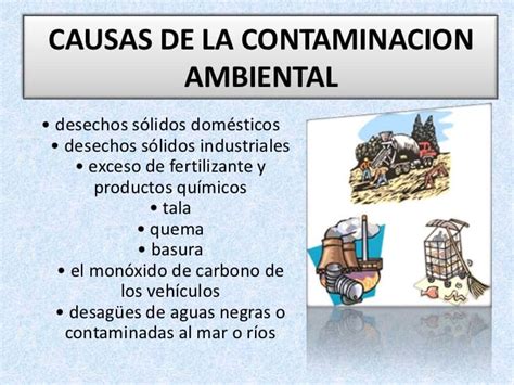 Contaminación para Niños Qué es Tipos Causas Efectos y Soluciones