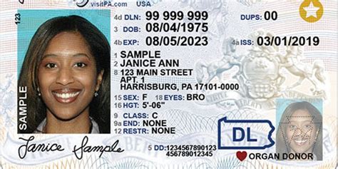 Pennsylvania To Become Latest State Offering Gender Neutral Ids Fox News