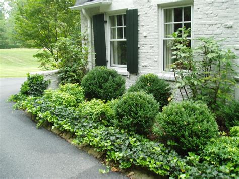 Love The Ivy And Hedges Front Yard Landscaping Design Front Yard