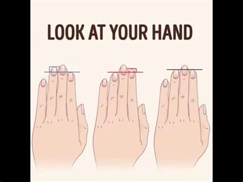 Finger Length Reveals About Your Personality YouTube